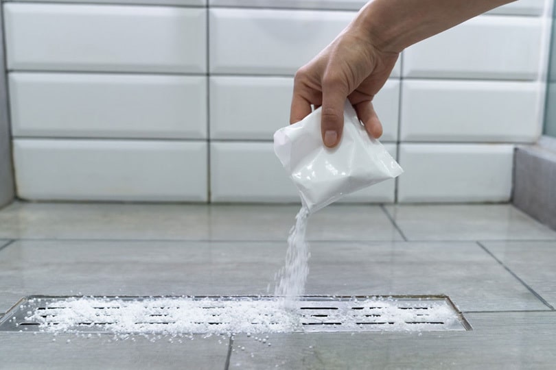 Pouring cleanser down a shower drain