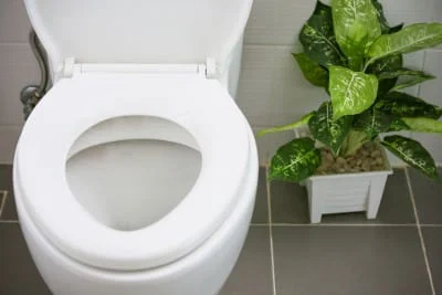 A toilet bowl with the lid open in a bathroom