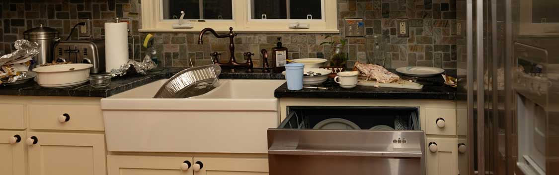 A cluttered kitchen counter is sure to attract fruit flies and/or drain flies.