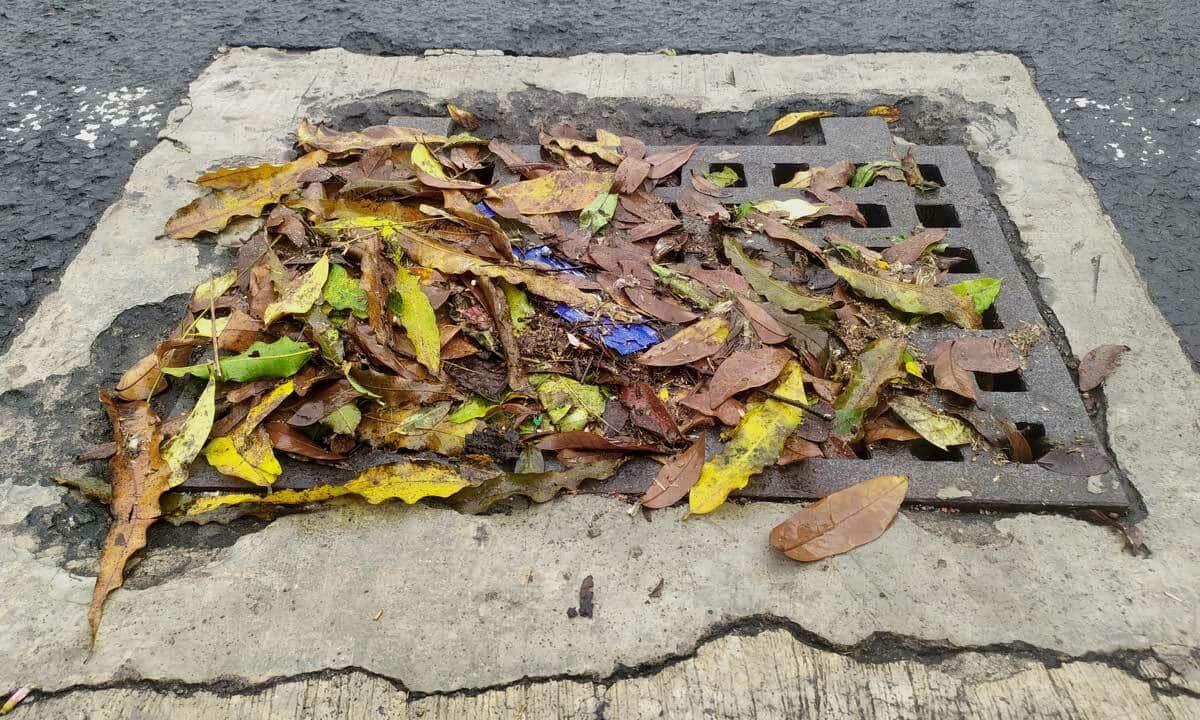 A pile of dead leaves on top of a sewer grate